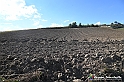 VBS_5297 - La solita strada... il grano da crescere, i campi da arare...